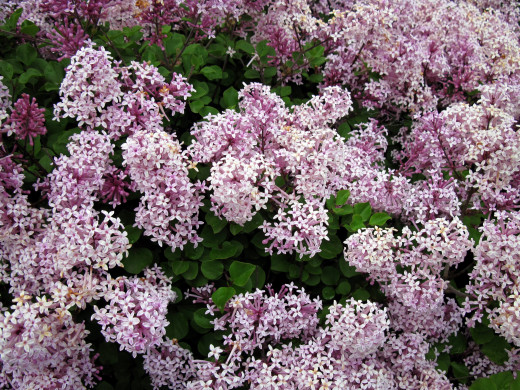 1186124 (a): :2560x1920